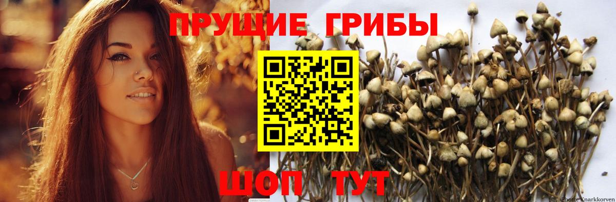 Галлюциногенные грибы мухоморы Вязьма