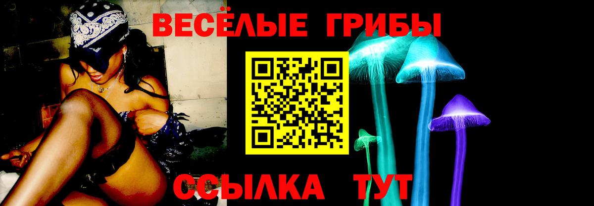 Вязьма  Галлюциногенные грибы ЛСД  Вход с VPN  Псилоцибиновые грибы MAGIC MUSHROOMS 
