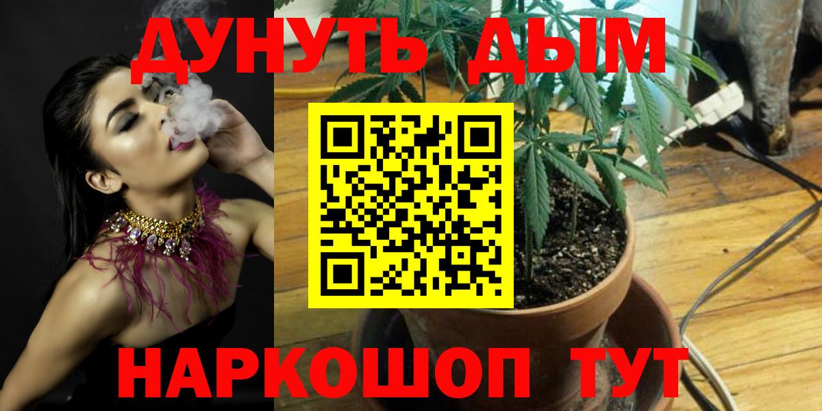 Конопля планчик Вязьма